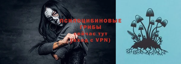прущий лед Алзамай