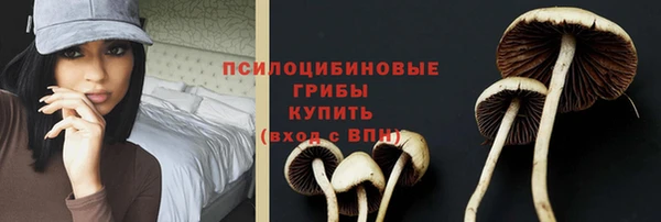 твердый Алексин