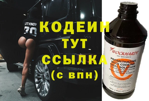 прущий лед Алзамай