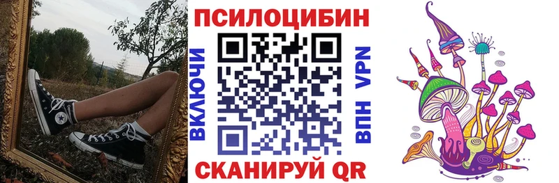 KRAKEN рабочий сайт  Пучеж  Галлюциногенные грибы прущие грибы 